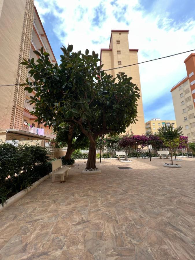Ap Cande Playa De Gandia Екстер'єр фото